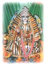 Shri Mansa ji