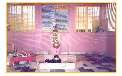 Shri Mansa ji